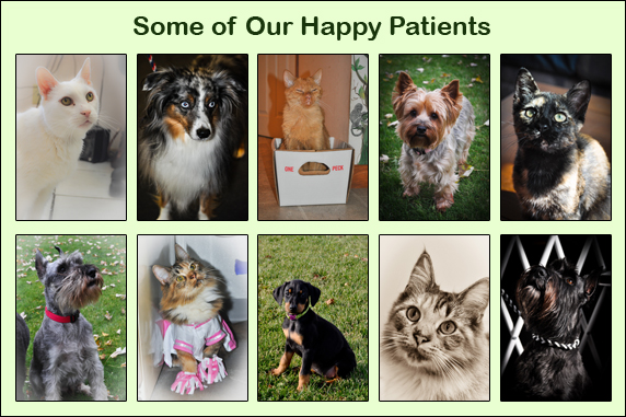 Our Happy Patients
