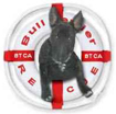 Bull Terrier Club of America